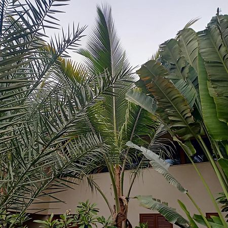 Casa Das Buganvilias Praia Buitenkant foto