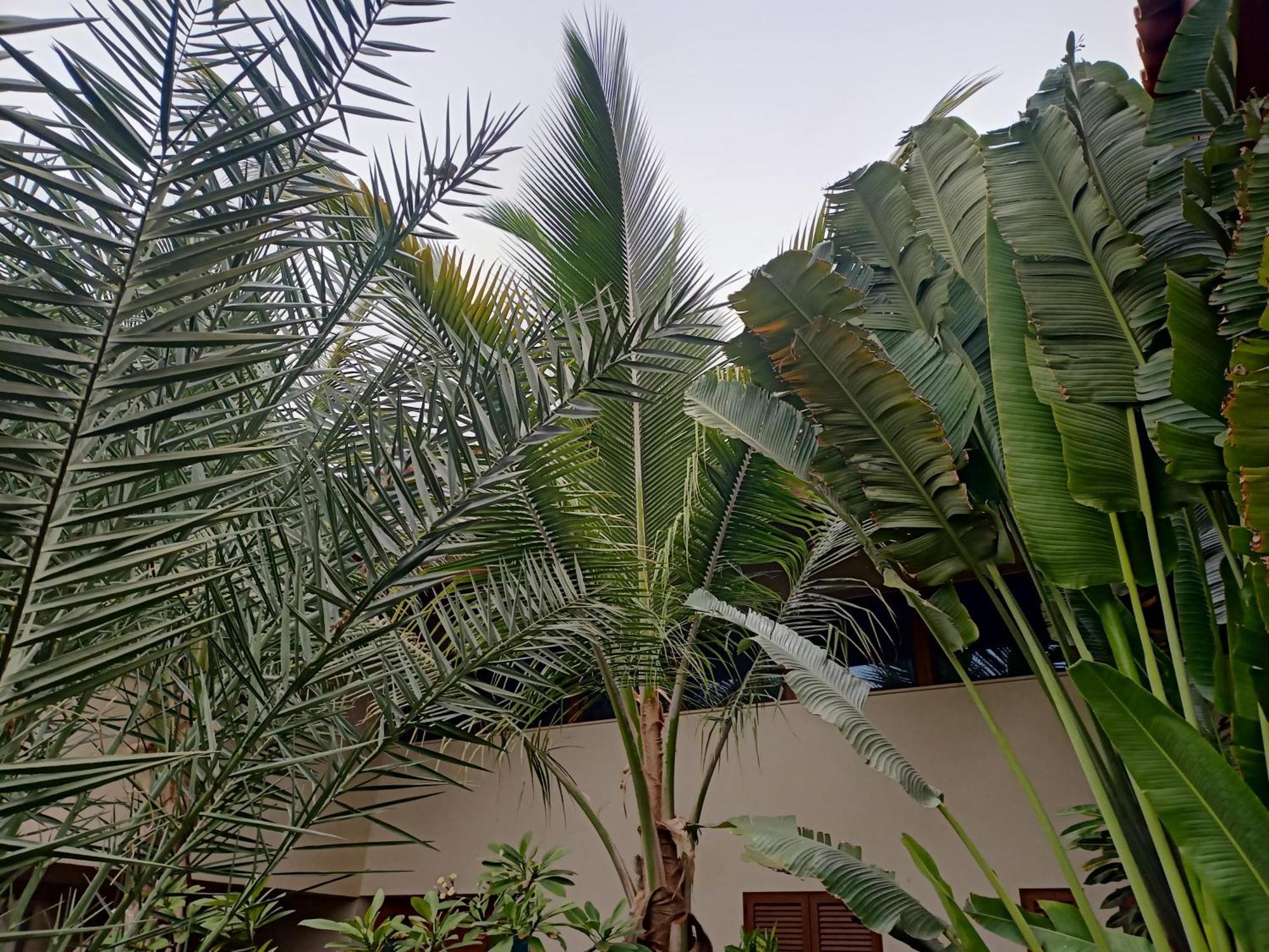 Casa Das Buganvilias Praia Buitenkant foto