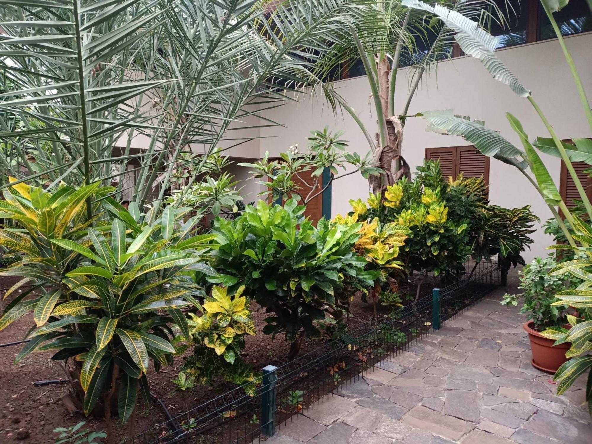 Casa Das Buganvilias Praia Buitenkant foto